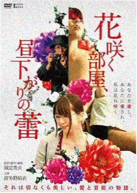 雾中来信电影海报